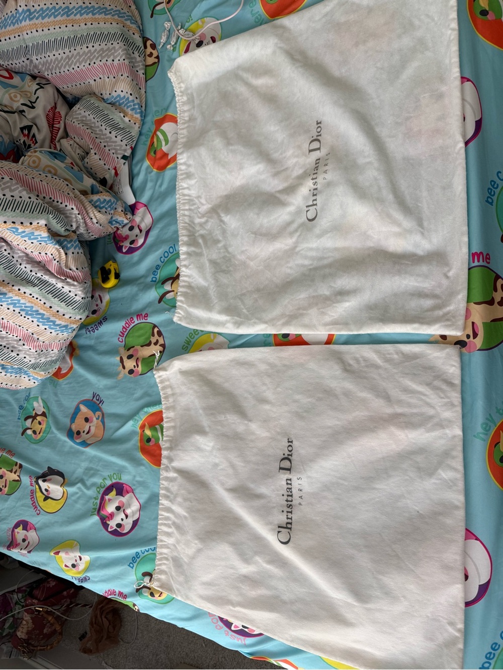 Dior Large Drawstring dust bag